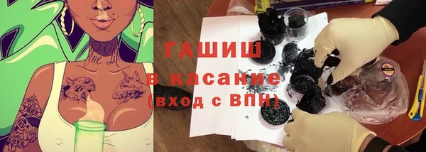 стаф Абинск