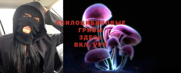 стаф Абинск